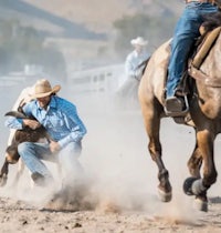 a cowboy is riding a horse in a rodeo